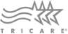 stars logo
